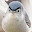 @えんえん-r9o