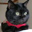 author photo