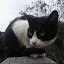 author photo