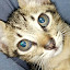 author photo