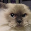 author photo