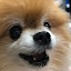 author photo