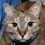 author photo