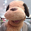 author photo