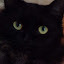 author photo