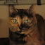 author photo