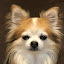 author photo