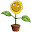 @SolHinata_NetflowerCH