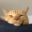 author photo