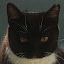 author photo