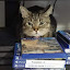 author photo