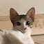author photo