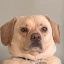 author photo