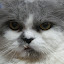 author photo