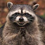 author photo