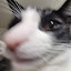 author photo