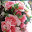 @user-gn8sf2qv1i