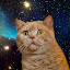 author photo