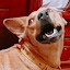 author photo