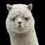 author photo