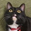 author photo