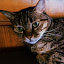 author photo
