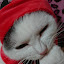 author photo