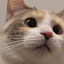 author photo