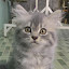 author photo