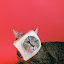author photo