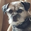 author photo
