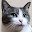 @猫羽-j2c