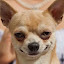 author photo