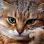 author photo