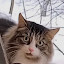 author photo