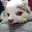 @曹長-n9p