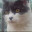 @はると-nekotime