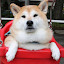 author photo