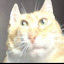 author photo