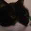 author photo