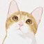 author photo