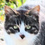 author photo