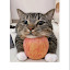 author photo