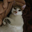 author photo