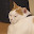 @招き幸沼-y7c