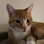 author photo