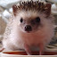 author photo