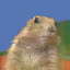 author photo