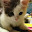@げんきち-x7e