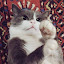 author photo